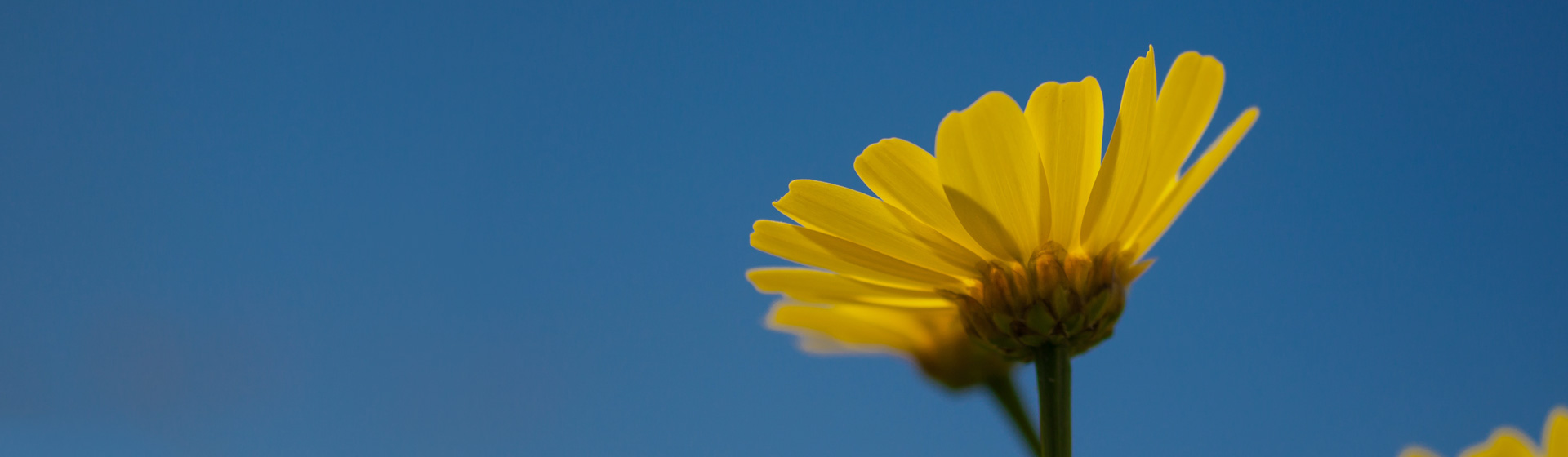 新產(chǎn)業(yè)