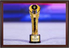 第十四屆金蟬獎“2020年度上市公司品牌獎”