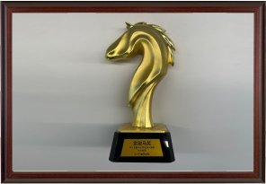 科創(chuàng)金駿馬之研發(fā)投入領(lǐng)航獎